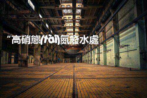 “高硝態(tài)氮廢水處理，綠色環(huán)保新篇章”